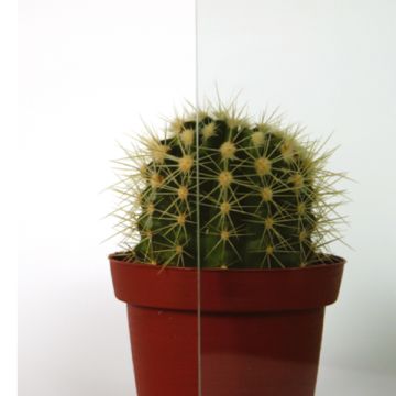 Glas ESG Float klar für DIN LA 860 mm