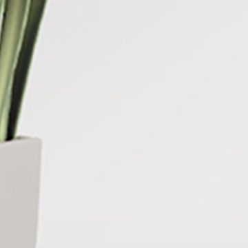 Glas ESG Float klar für LA 4 schmal