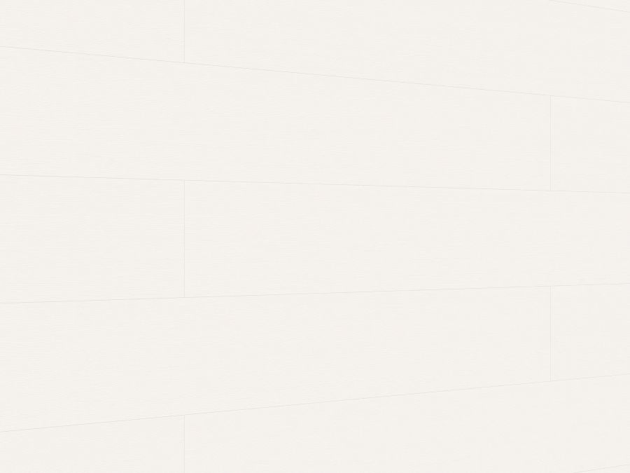 Meister Dekorpaneele. terra DP250