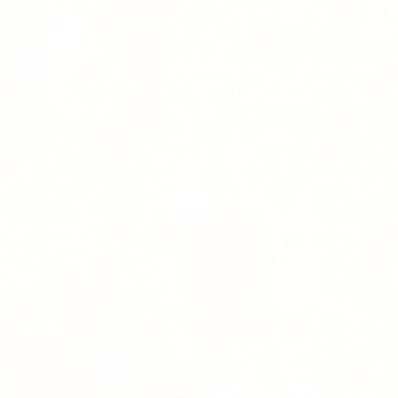 Meister Dekorpaneele. tertio DP200