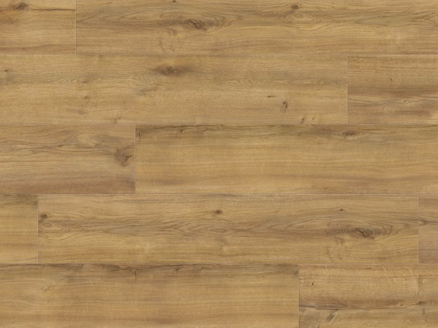 Haro Designboden Disano LifeAqua LHD 