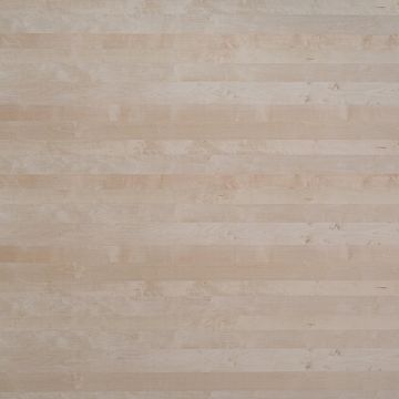 19 mm Birke exzentr. furn. Spanplatte