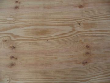 24 mm Seekiefer Sperrholz verleimt EN 636-3/S CE2+