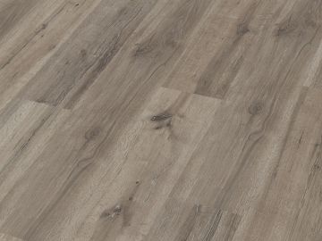 Meister Laminat Kurzdiele LC 55 - 7mm BK 31