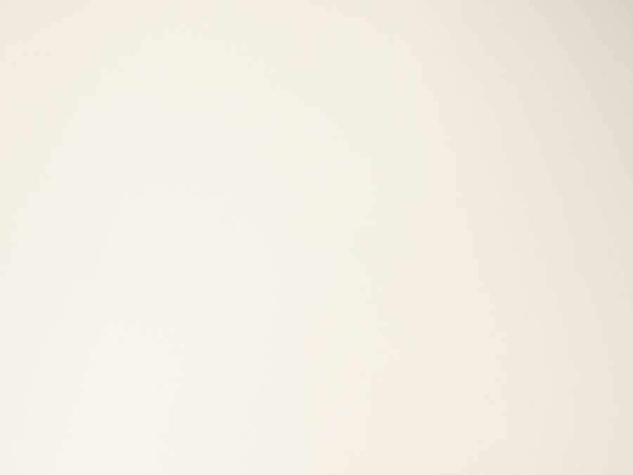 21 mm Sperrholz melamin besch. weiß matt, 13-fach