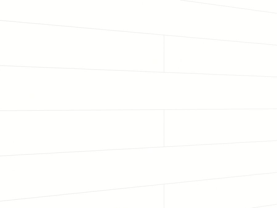 Meister Dekorpaneele. tertio DP200